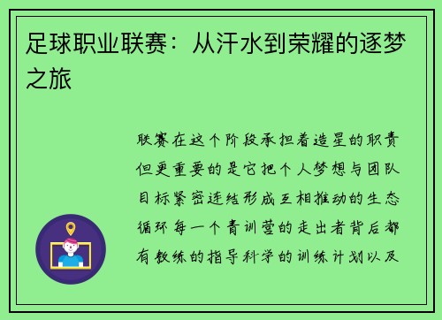 足球职业联赛：从汗水到荣耀的逐梦之旅