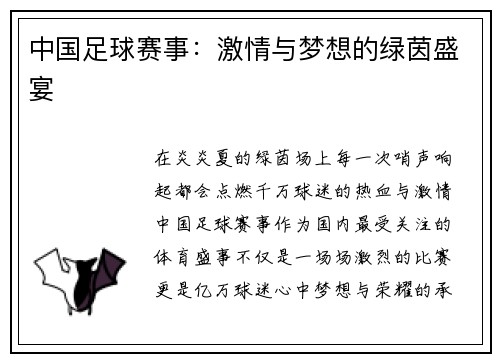 中国足球赛事：激情与梦想的绿茵盛宴